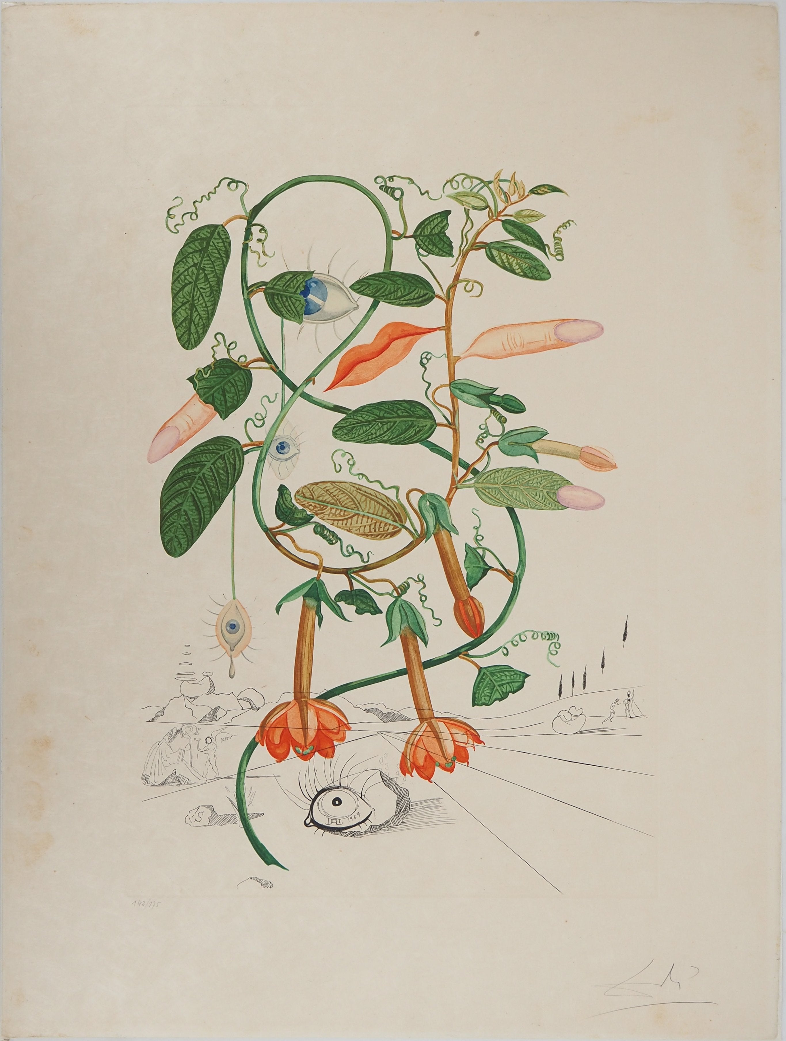 Salvador Dalí lithograph 限定175 Salvador Dalí lithograph 限定175