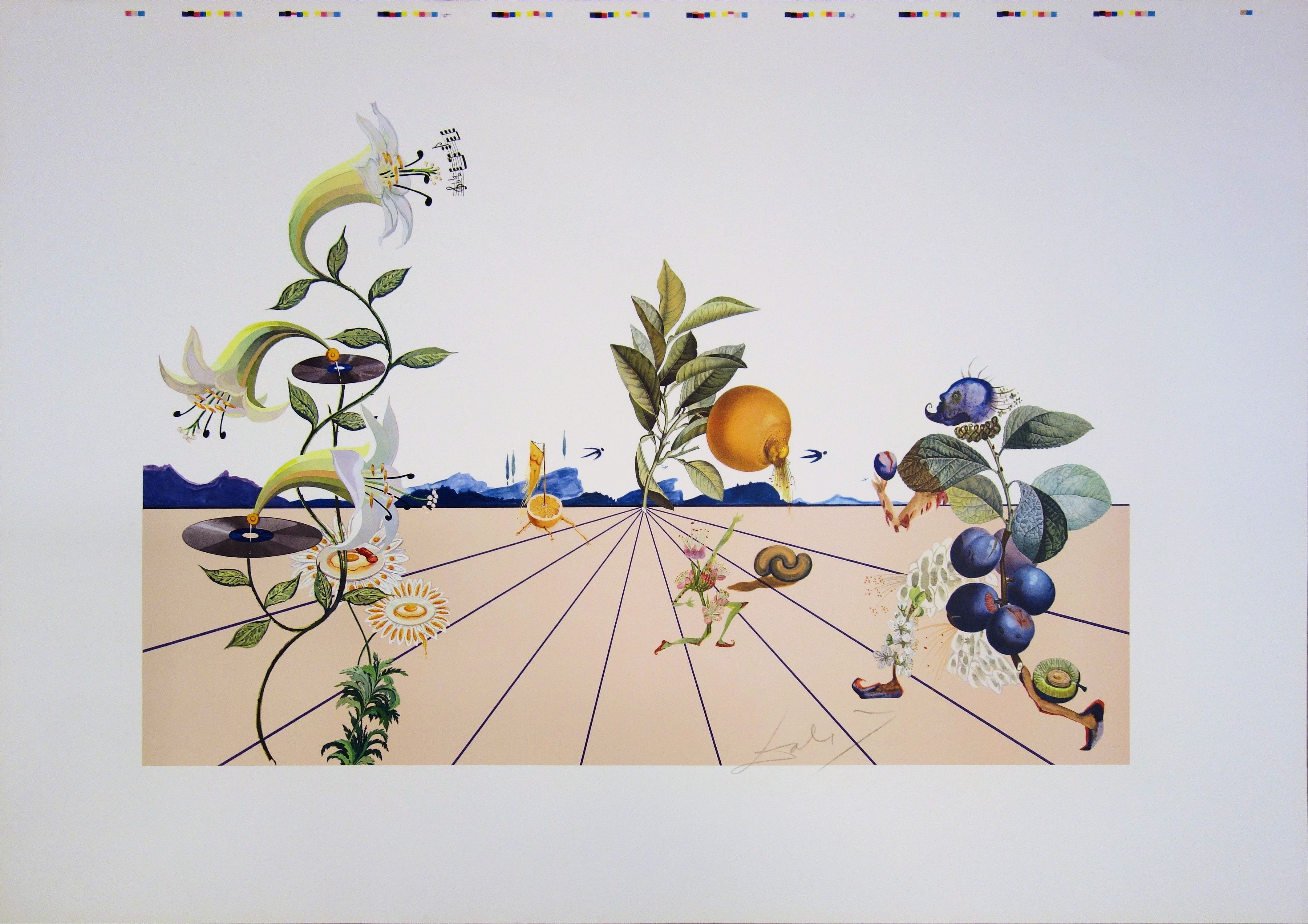 Salvador Dalí lithograph 限定175 Salvador Dali Lithograph : The