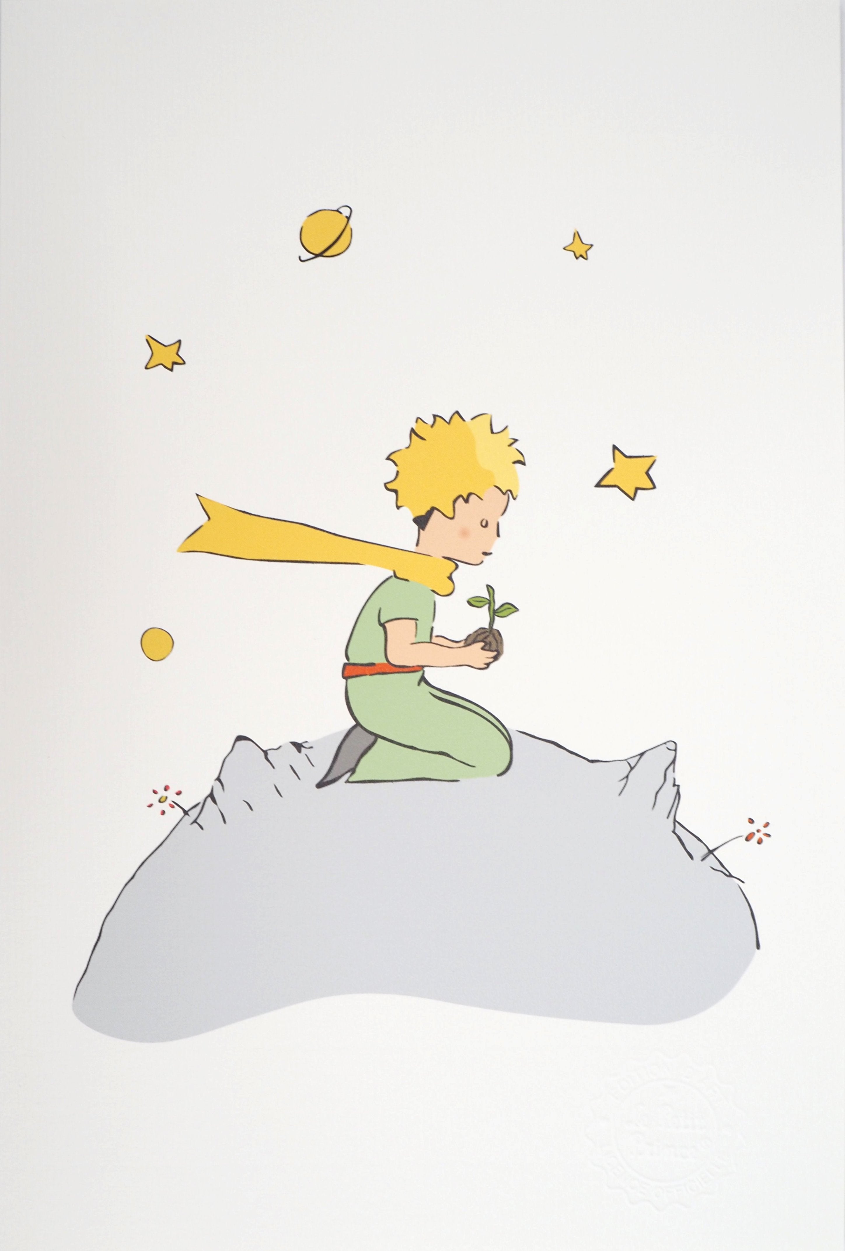 Antoine DE SAINT-EXUPERY: Ecology: The Little Prince plants