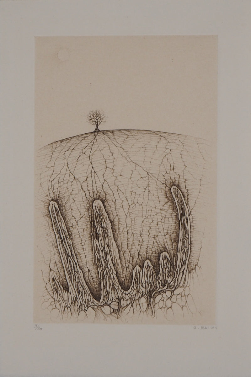 Cécile REIMS : Arbre solitaire, Gravure originale signée