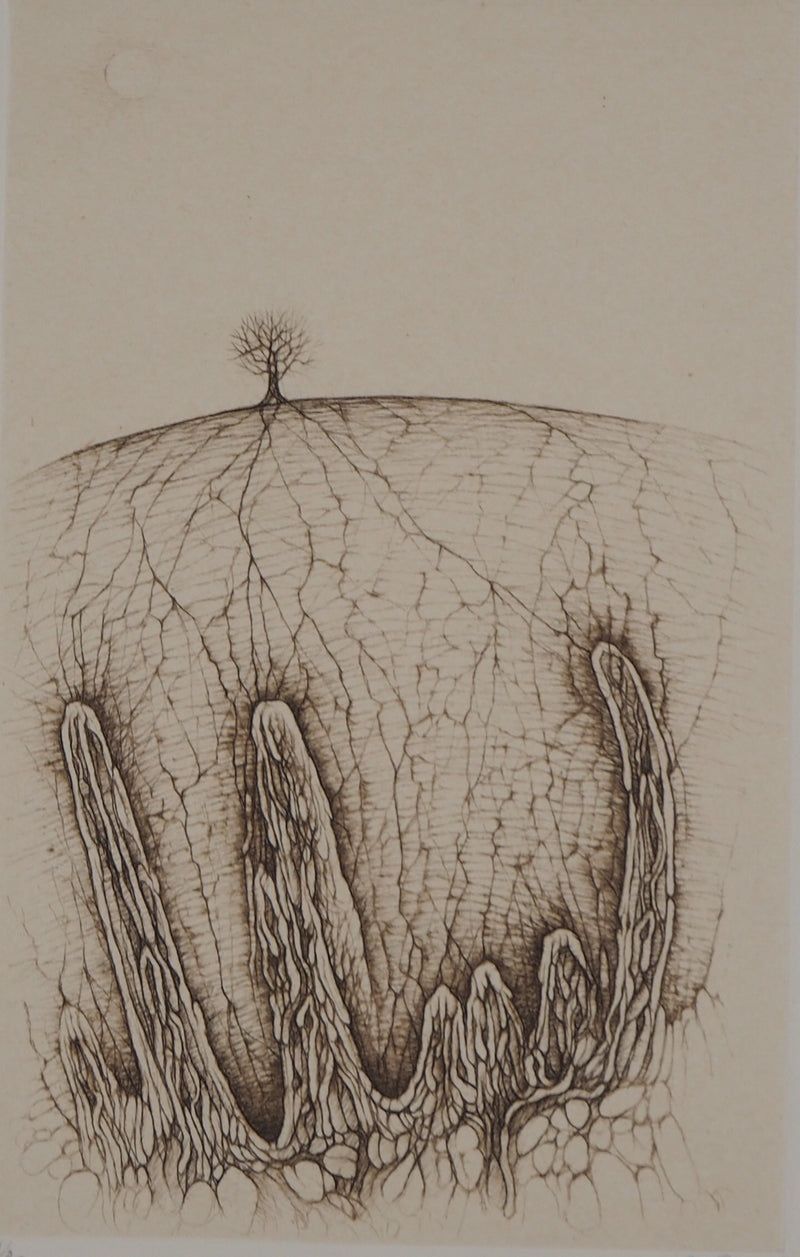 Cécile REIMS : Arbre solitaire, Gravure originale signée