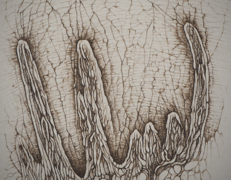 Cécile REIMS : Arbre solitaire, Gravure originale signée
