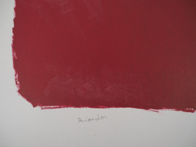 Maurice BRIANCHON : Nature morte fauve - Lithographie originale signée