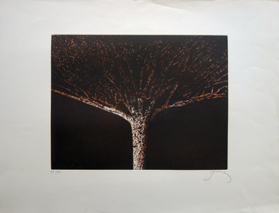 Mario PRASSINOS : L'arbre, Gravure originale (vue générale) - Crédit photo : Galerie Art.Paris