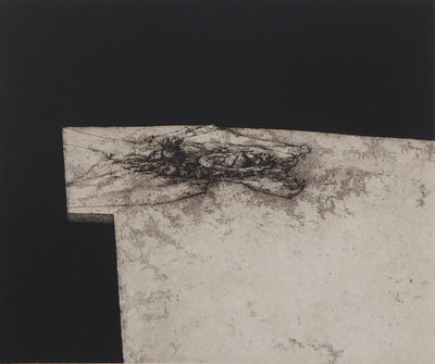 José HERNANDEZ: Gottesanbeterin, Original signierter Kupferstich