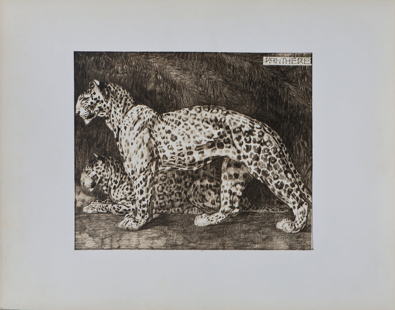 Mathurin MEHEUT : La Panthère, Lithographie