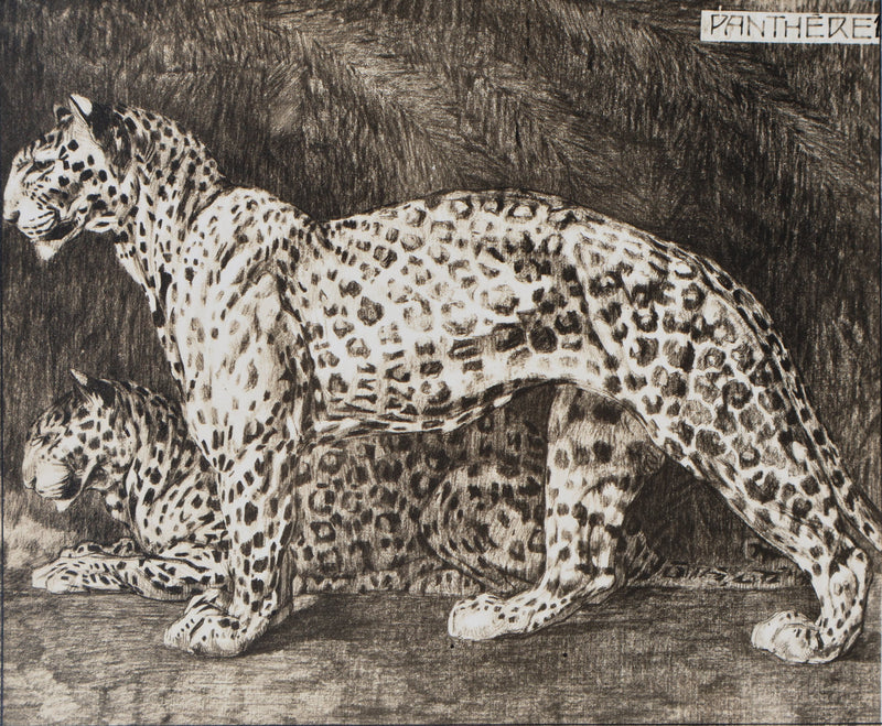 Mathurin MEHEUT : La Panthère, Lithographie