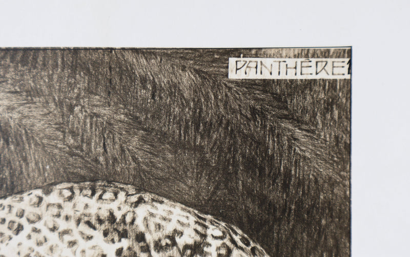 Mathurin MEHEUT : La Panthère, Lithographie