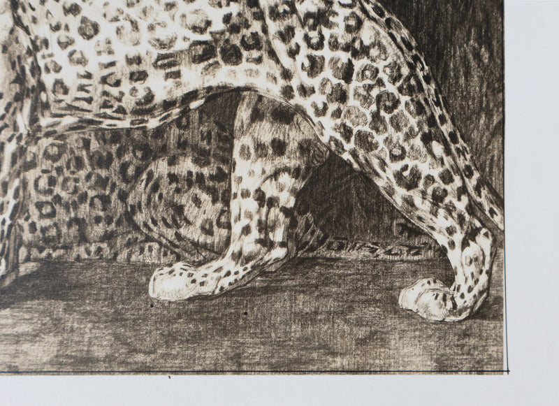 Mathurin MEHEUT : La Panthère, Lithographie