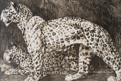 Mathurin MEHEUT : La Panthère, Lithographie