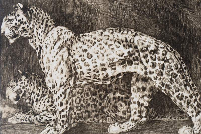 Mathurin MEHEUT : La Panthère, Lithographie