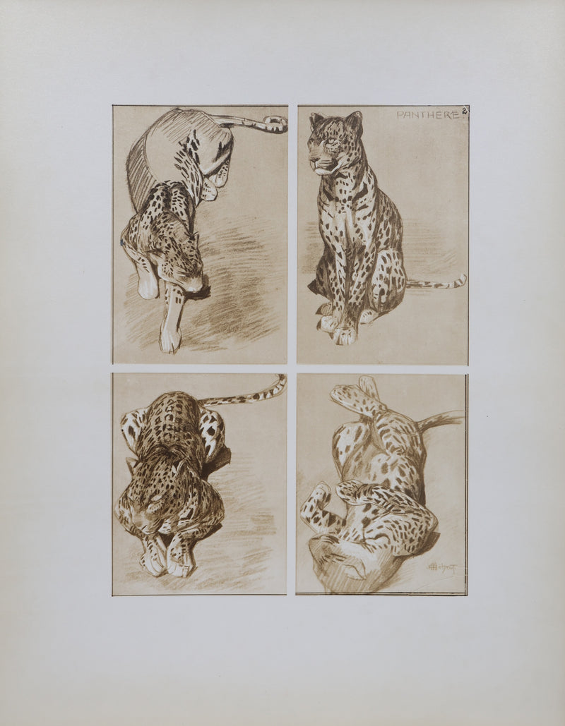 Mathurin MEHEUT : La Panthère, Lithographie signée