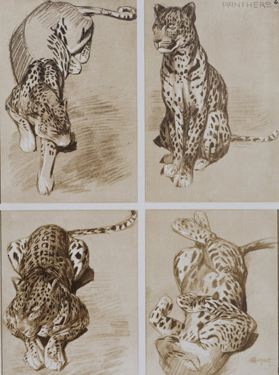 Mathurin MEHEUT : La Panthère, Lithographie signée