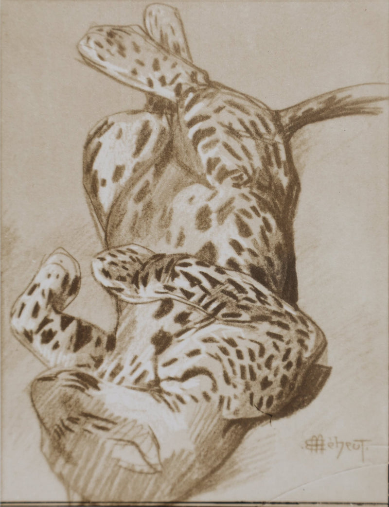 Mathurin MEHEUT : La Panthère, Lithographie signée