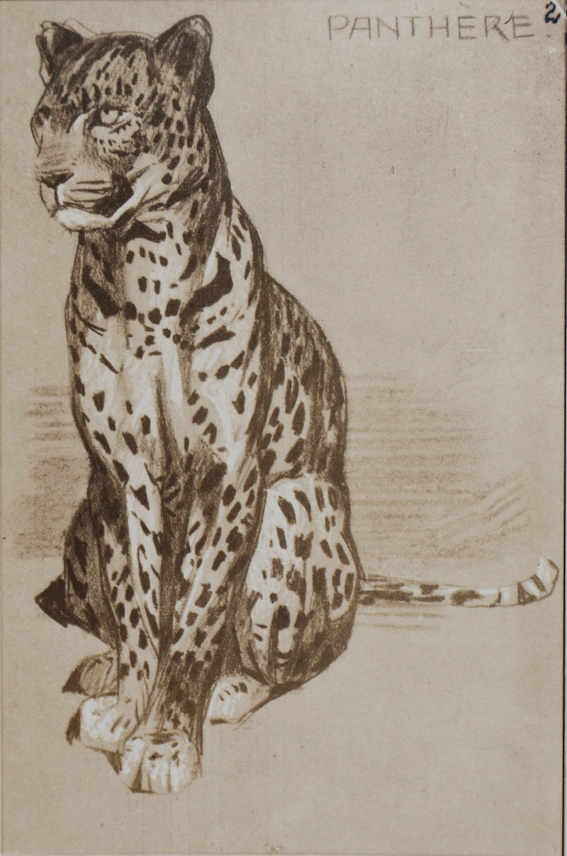 Mathurin MEHEUT : La Panthère, Lithographie signée