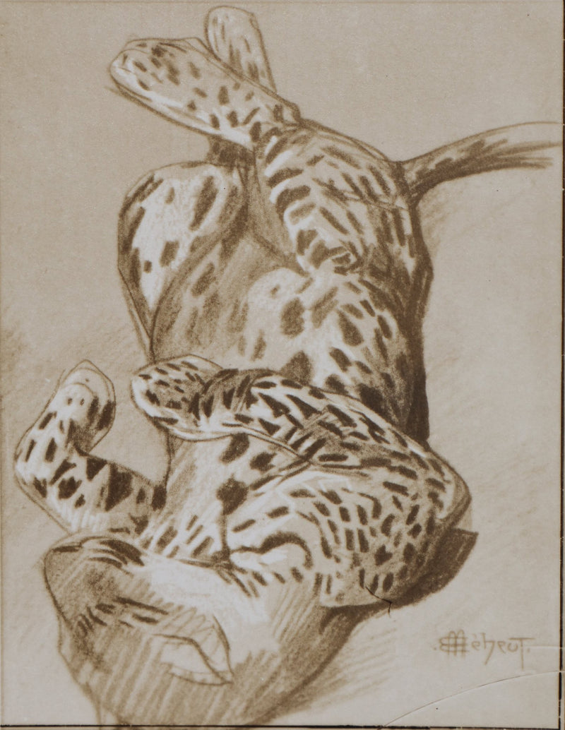 Mathurin MEHEUT : La Panthère, Lithographie signée