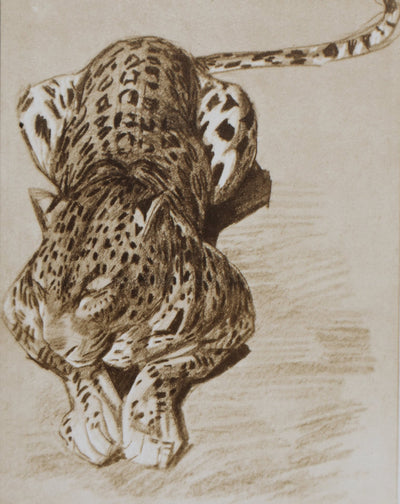 Mathurin MEHEUT : La Panthère, Lithographie signée