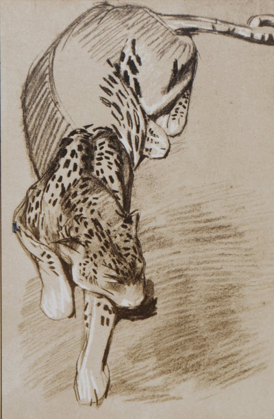 Mathurin MEHEUT : La Panthère, Lithographie signée
