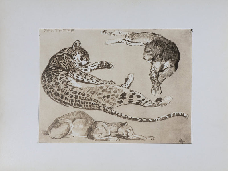 Mathurin MEHEUT : La Panthère, Lithographie signée
