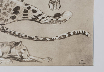Mathurin MEHEUT : La Panthère, Lithographie signée