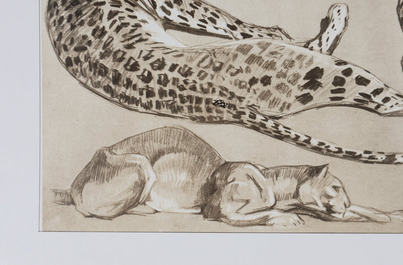 Mathurin MEHEUT : La Panthère, Lithographie signée