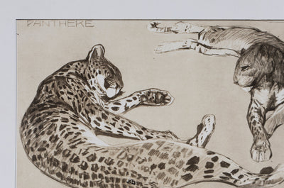 Mathurin MEHEUT : La Panthère, Lithographie signée