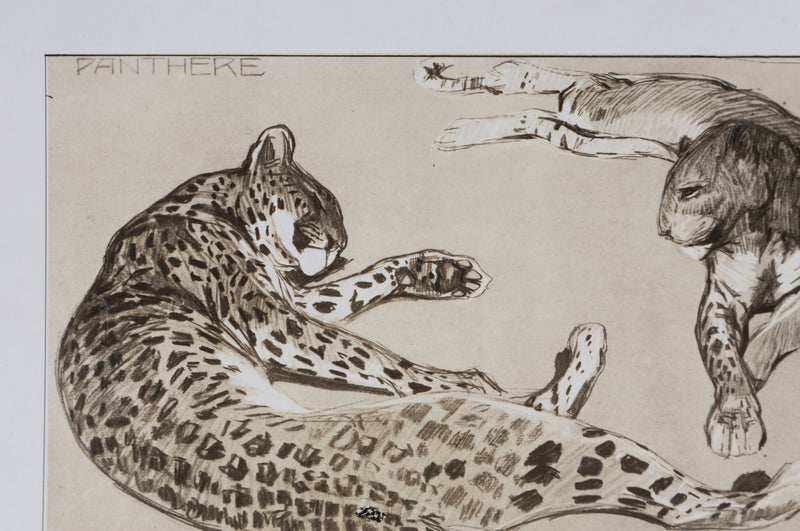 Mathurin MEHEUT : La Panthère, Lithographie signée