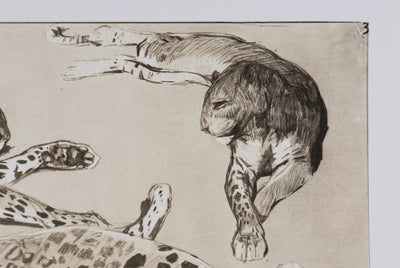 Mathurin MEHEUT : La Panthère, Lithographie signée