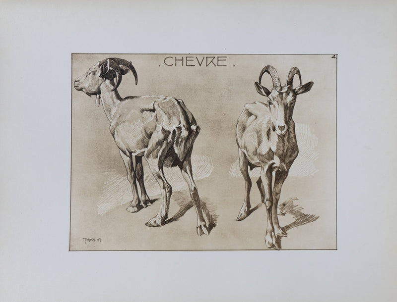 Mathurin MEHEUT : La Chèvre, Lithographie signée