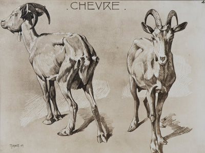Mathurin MEHEUT : La Chèvre, Lithographie signée