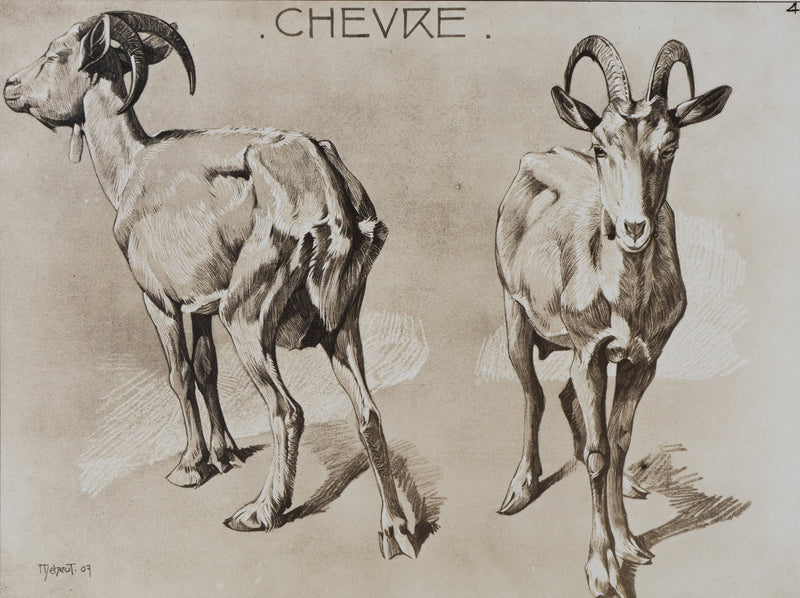 Mathurin MEHEUT : La Chèvre, Lithographie signée