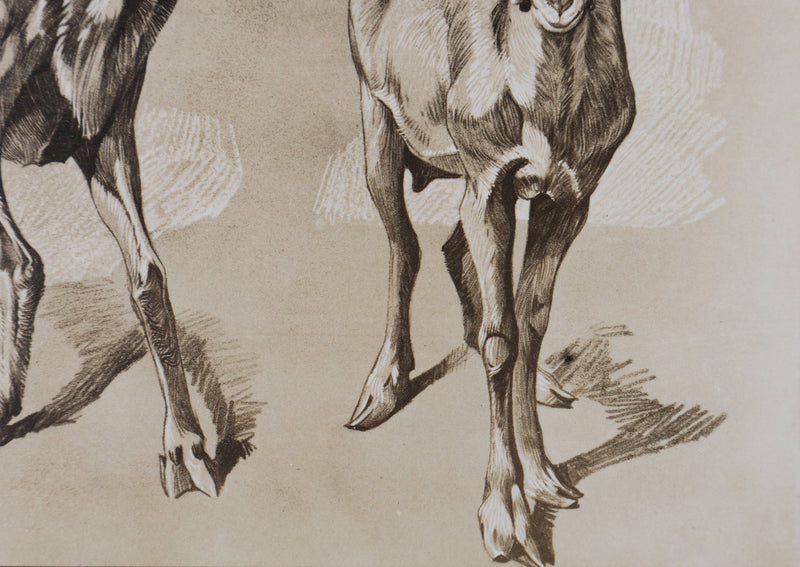 Mathurin MEHEUT : La Chèvre, Lithographie signée