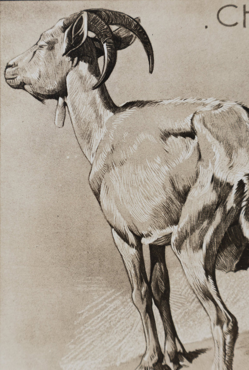 Mathurin MEHEUT : La Chèvre, Lithographie signée