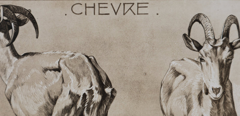 Mathurin MEHEUT : La Chèvre, Lithographie signée