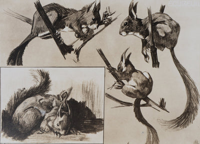 Mathurin MEHEUT : L'Écureuil, Lithographie signée