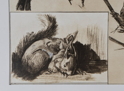 Mathurin MEHEUT : L'Écureuil, Lithographie signée