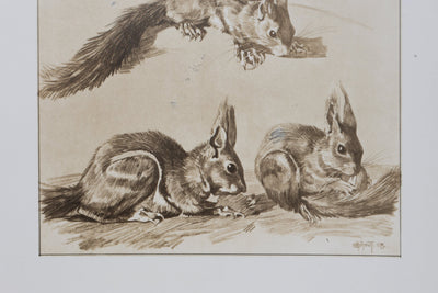 Mathurin MEHEUT : L'Écureuil, Lithographie signée
