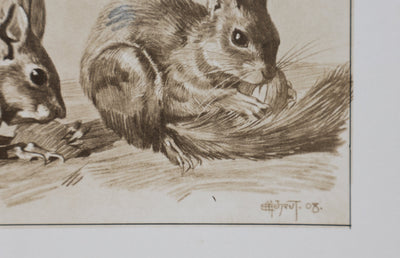 Mathurin MEHEUT : L'Écureuil, Lithographie signée