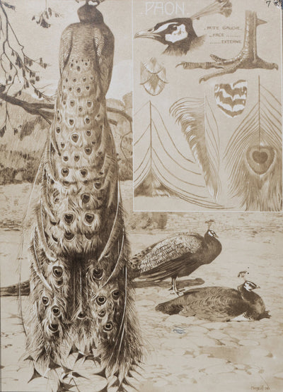 Mathurin MEHEUT : Le Paon, Lithographie signée