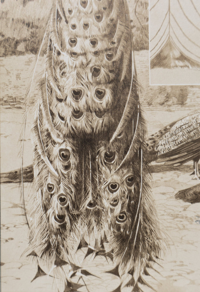 Mathurin MEHEUT : Le Paon, Lithographie signée