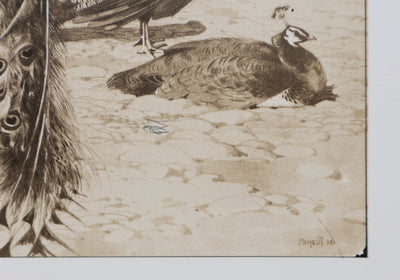 Mathurin MEHEUT : Le Paon, Lithographie signée