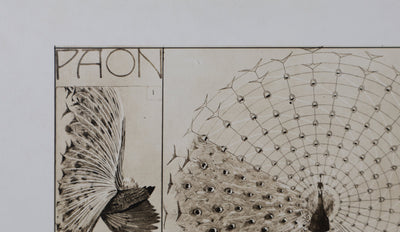 Mathurin MEHEUT : Le Paon, Lithographie signée