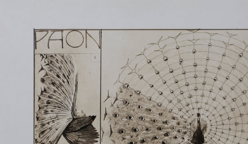 Mathurin MEHEUT : Le Paon, Lithographie signée