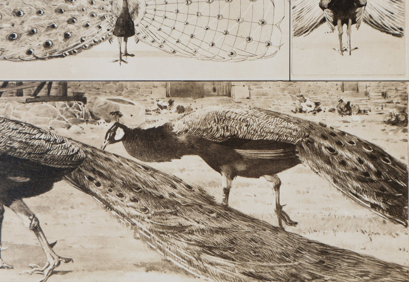Mathurin MEHEUT : Le Paon, Lithographie signée