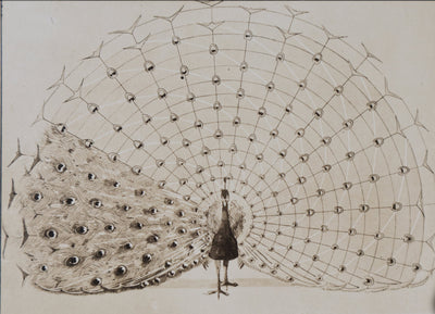 Mathurin MEHEUT : Le Paon, Lithographie signée