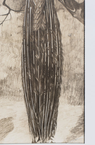 Mathurin MEHEUT : Le Paon, Lithographie signée