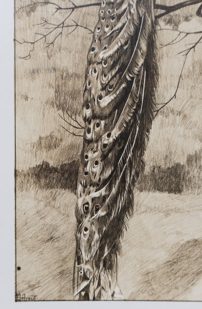 Mathurin MEHEUT : Le Paon, Lithographie signée