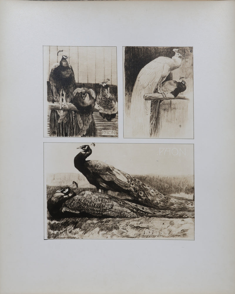 Mathurin MEHEUT : Les deux Paon, Lithographie signée