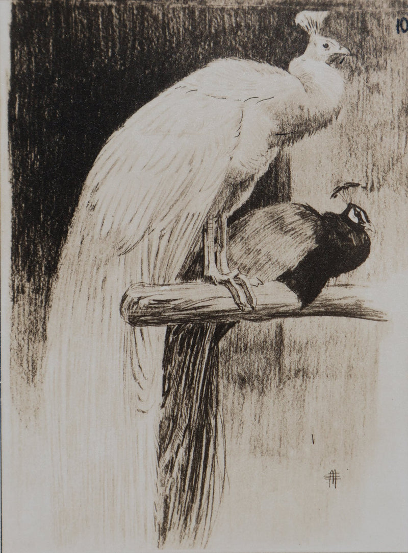 Mathurin MEHEUT : Les deux Paon, Lithographie signée
