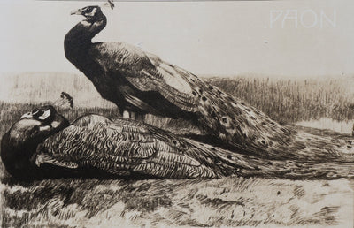 Mathurin MEHEUT : Les deux Paon, Lithographie signée